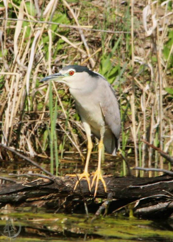 20120421.25.jpg
