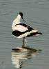 20120430.25_t1.jpg