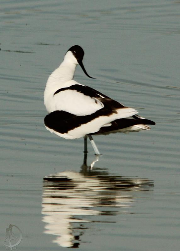 20120430.25.jpg