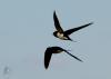 20120430.2_t1.jpg