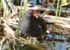 20120430.30_t1.jpg
