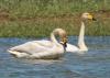 20120505.4_t1.jpg