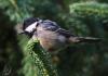 20120707.10_t1.jpg
