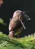 20120707.13_t1.jpg