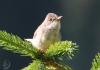 20120707.14_t1.jpg