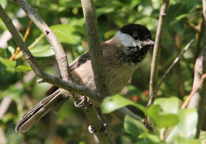 20120707.23.jpg