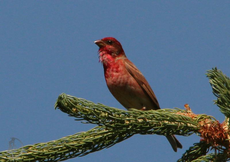 20120707.24.jpg