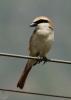 20120707.26_t1.jpg