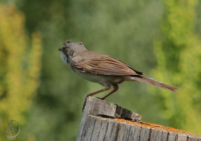 20120707.35.jpg