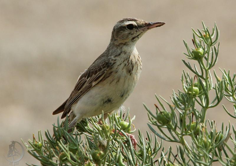 20120707.39.jpg