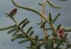 20120707.4_t1.jpg