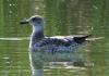 20120714.10_t1.jpg