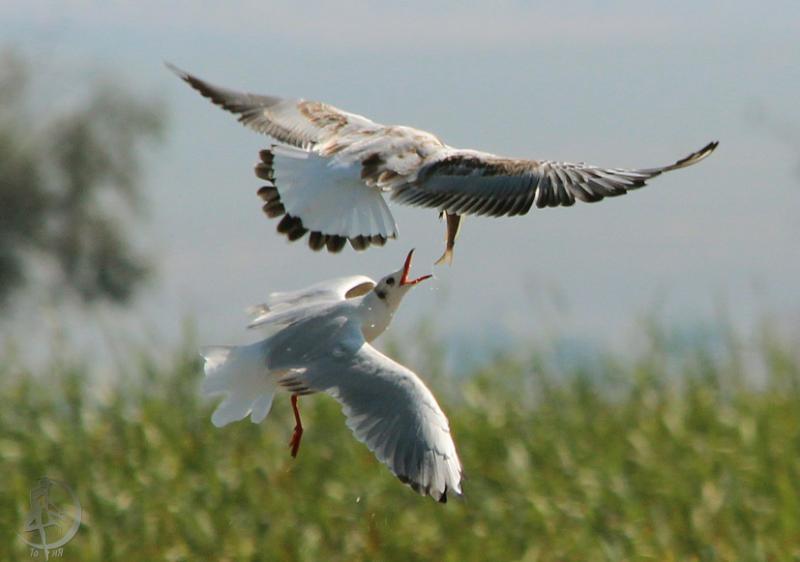 20120714.13.jpg