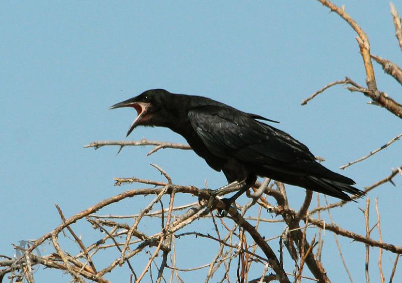 20120714.16.jpg