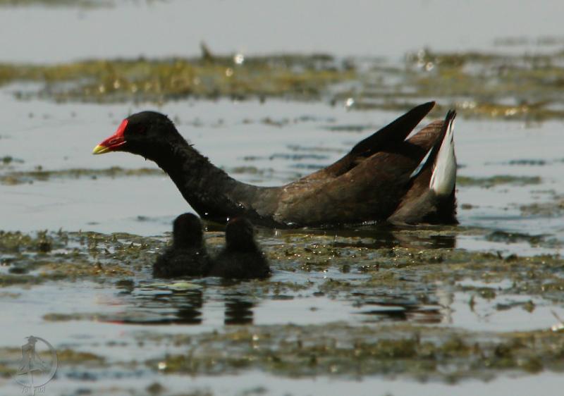 20120714.36.jpg