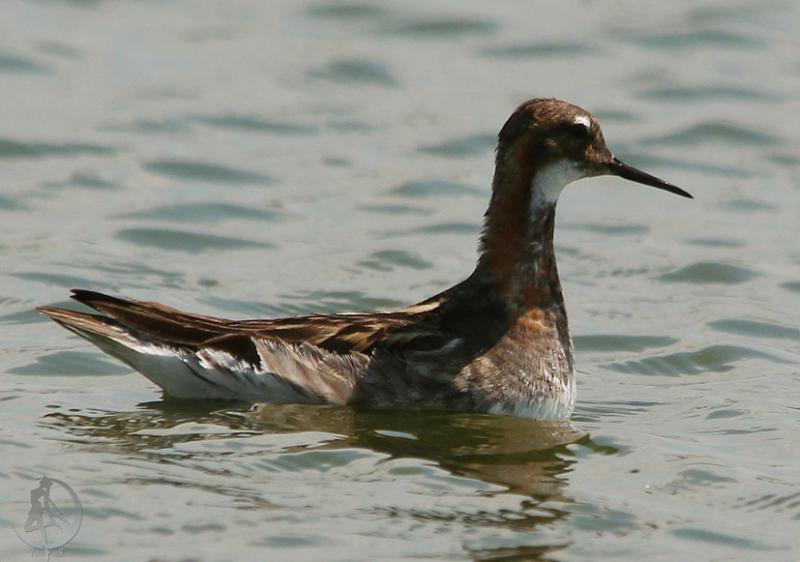 20120714.66.jpg
