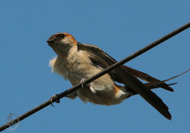 20120715.11.jpg