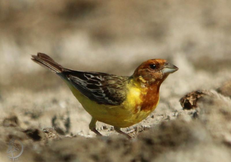 20120721.36.jpg