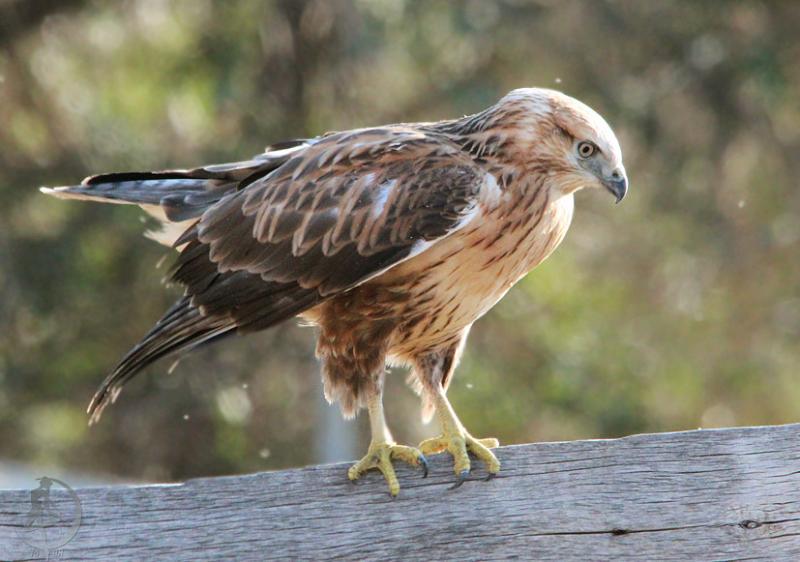 20120721.5.jpg