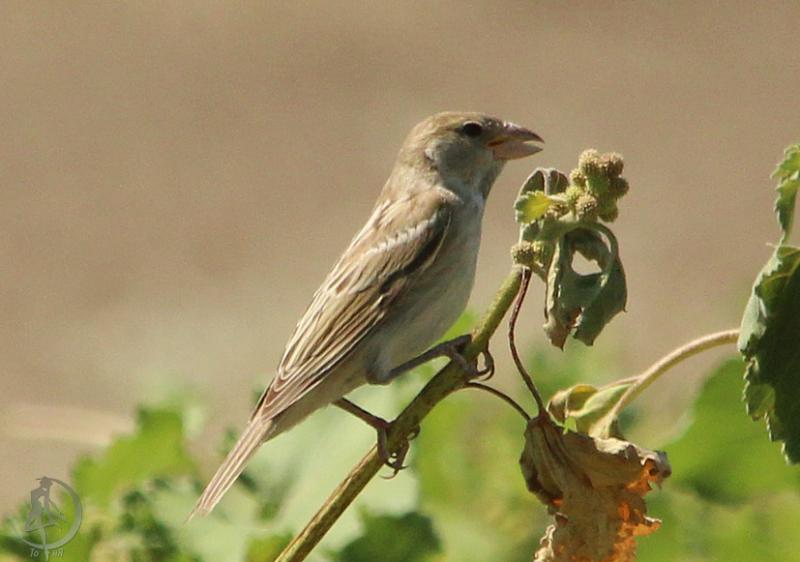 20120721.66.jpg