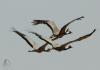 20120721.79_t1.jpg