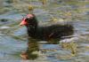 20120805.61_t1.jpg