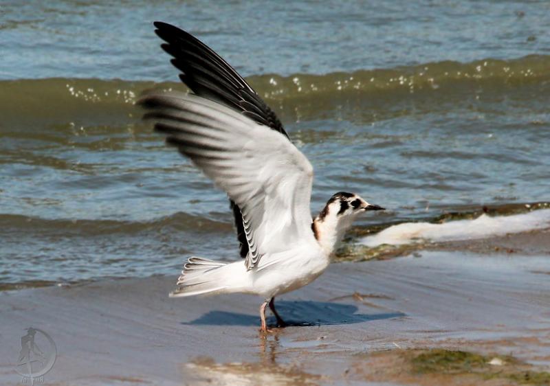 20120805.70.jpg