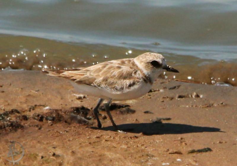 20120805.71.jpg
