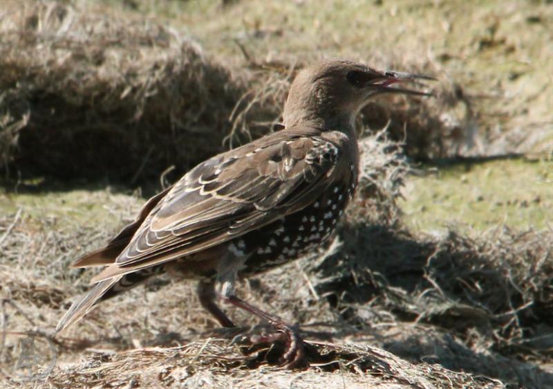 20120805.92.jpg