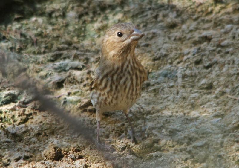 20120819.25.jpg