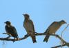 20120819.37_t1.jpg