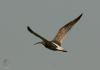 20120819.62_t1.jpg