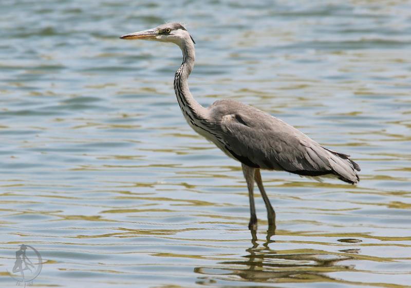 20120819.70.jpg