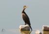 20120819.74_t1.jpg