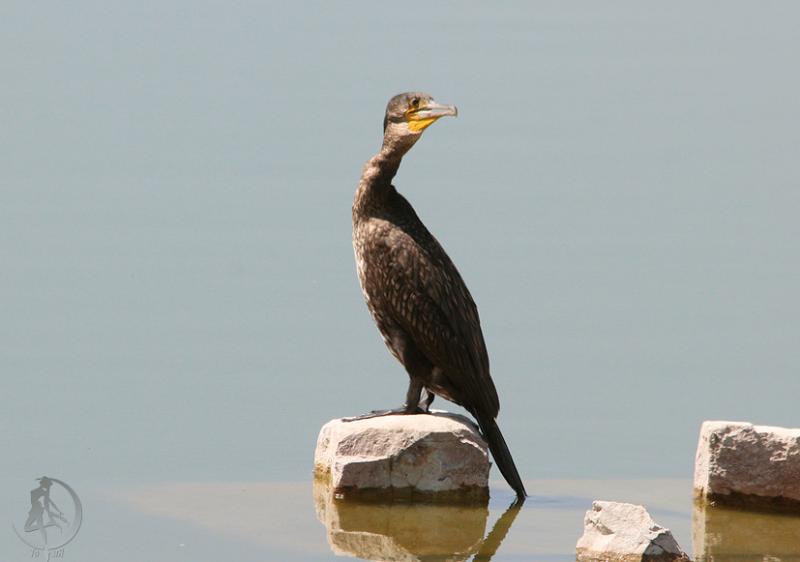 20120819.74.jpg