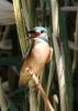 20120819.85_t1.jpg