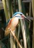 20120819.86_t1.jpg