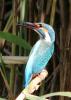 20120819.89_t1.jpg
