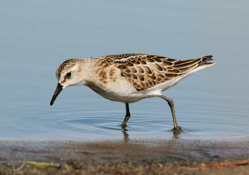 20120825.17.jpg