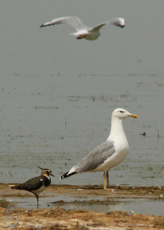20120901.36.jpg