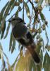 20120901.6_t1.jpg
