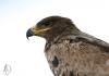 20120908.1_t1.jpg