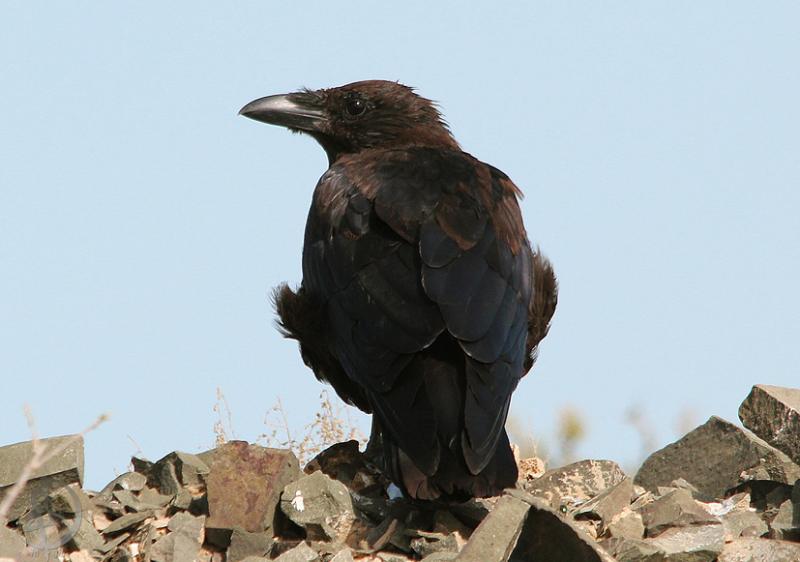 20120908.26.jpg
