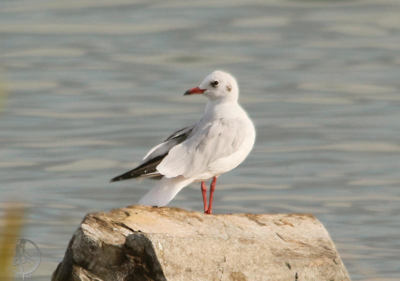 20120908.7.jpg