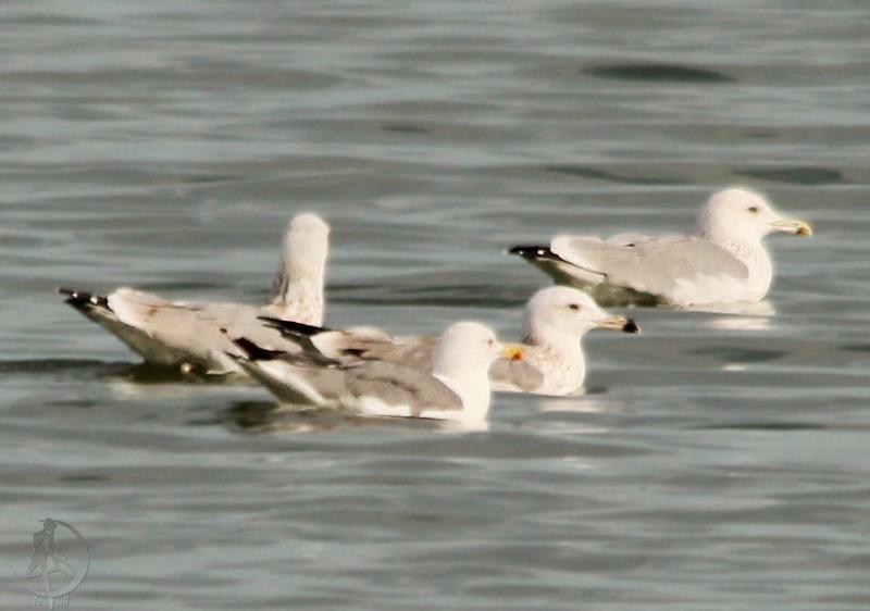 20120908.8.jpg