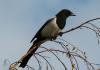 20120930.17_t1.jpg