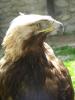 dscn8411_t1.jpg