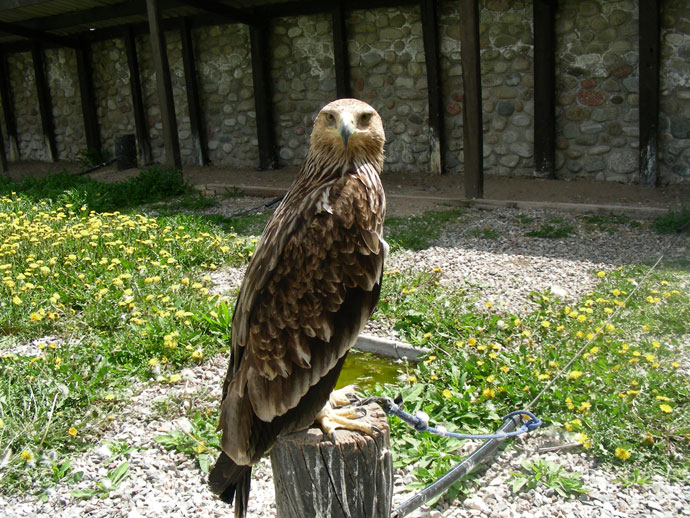 dscn8412.jpg