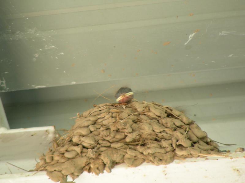 dscn8926.jpg
