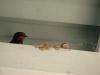 dscn8939_t1.jpg